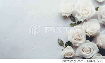 Background with white rose petals, flowers and water drops on a concrete background. Love, Valentine's Day, International Women's Day 118716539