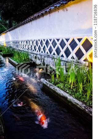 White walls and carp in Tsuwano Town White walls and carp in Tsuwano Town 118716836