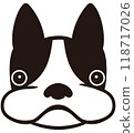 Boston Terrier 118717026