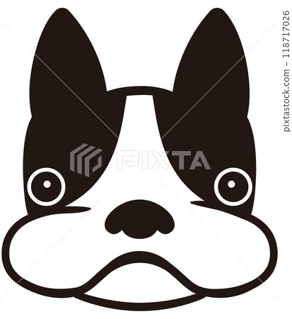 Boston Terrier Boston Terrier 118717026
