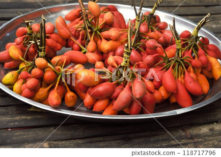 Red berries of Tariel, Cambodia 118717796