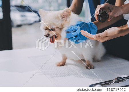 Closeup shot of veterinarian hands checking dog by stethoscope in vet clinic Closeup shot of veterinarian hands checking dog by stethoscope in vet clinic 118717952