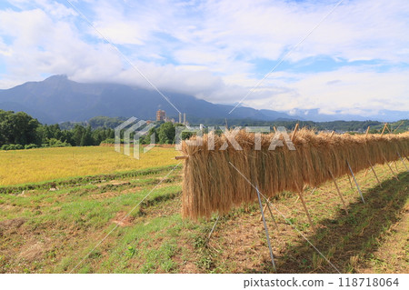 寺坂梯田的豐收景象。 寺坂梯田的豐收景象。 118718064