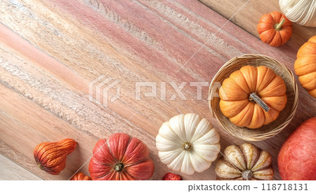 A variety of colorful pumpkins arranged artistically on a soft pink background during the fall season A variety of colorful pumpkins arranged artistically on a soft pink background during the fall season 118718131