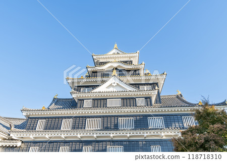 岡山縣岡山市，日本百座名城，令和重大整修後晴天的岡山城塔 118718310