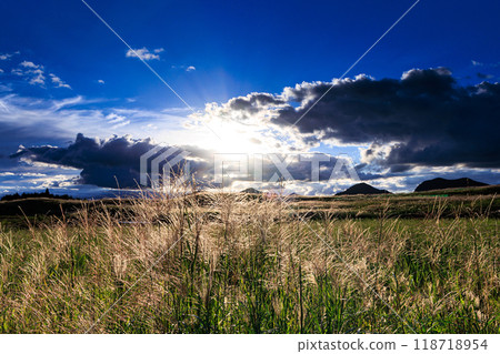 Autumn 2024: Evening scenery of the Soni Plateau, where the pampas grass is in full bloom. The sun appears from behind the clouds and the pampas grass heads shine. Autumn 2024: Evening scenery of the Soni Plateau, where the pampas grass is in full bloom. The sun appears from behind the clouds and the pampas grass heads shine. 118718954