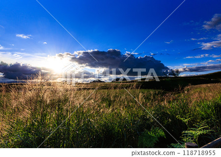 Autumn 2024: Evening scenery on the Soni Plateau where the pampas grass is in full bloom - the sun emerging from between the clouds and the glittering pampas grass spikes② Autumn 2024: Evening scenery on the Soni Plateau where the pampas grass is in full bloom - the sun emerging from between the clouds and the glittering pampas grass spikes② 118718955