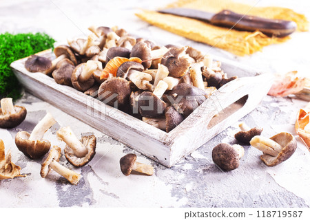 Mushrooms Tricholoma, edible mushroom in the autumn forest. 118719587