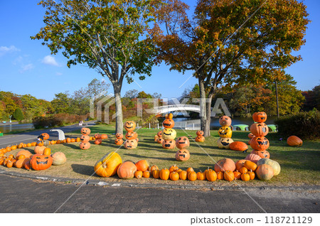 Onuma quorum park in autumn Onuma quorum park in autumn 118721129