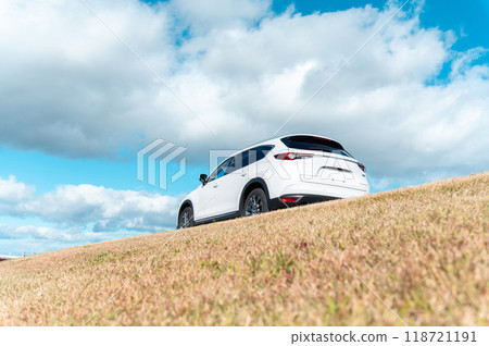 white SUV type passenger car white SUV type passenger car 118721191