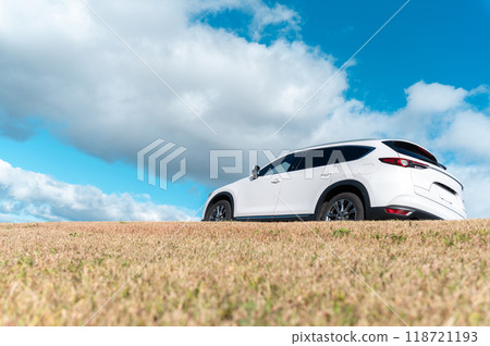 white SUV type passenger car white SUV type passenger car 118721193