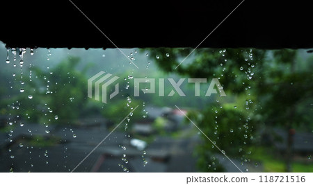 Rainwater dripping from the roof of the house and green trees Rainwater dripping from the roof of the house and green trees 118721516