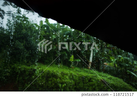 Rainwater dripping from the roof of the house and green trees Rainwater dripping from the roof of the house and green trees 118721517