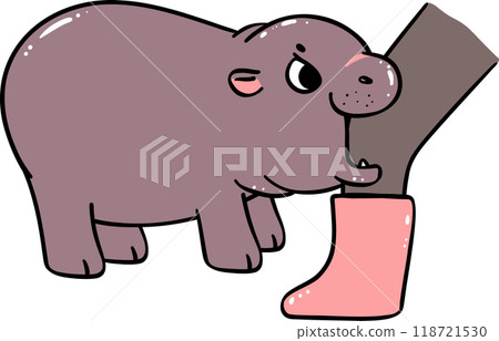 Baby Pygmy Hippo bite leg Cartoon  Playful and Grumpy Doodle Character 118721530