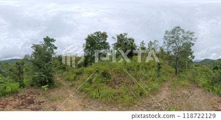 Panoramic view of deserted path with tropical trees in a mountain park in the rainy season. 118722129