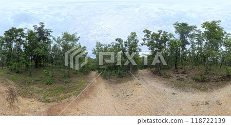 Panoramic view of deserted path with tropical trees in a mountain park in the rainy season. 118722139