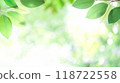 Bokeh, leaves, natural, green 118722558