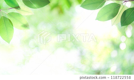 Bokeh, leaves, natural, green 118722558