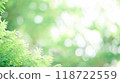 Bokeh, leaves, natural, green 118722559