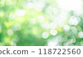 Bokeh, leaves, natural, green 118722560