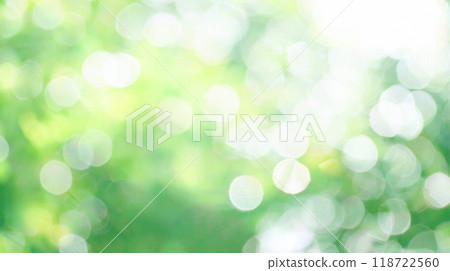 球散景葉自然綠色 118722560