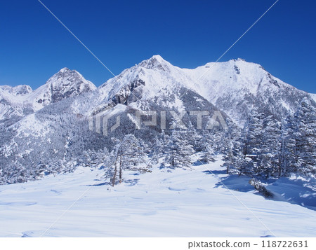從八嶽山、網笠山眺望冬天的赤嶽山、權現山 118722631