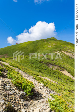 Climbing Mount Ogouchi in the Southern Alps in early summer - The summit of Mount Ogouchi 118722653