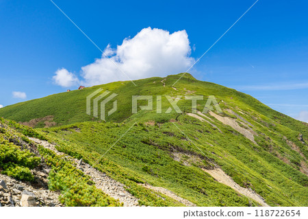 Climbing Mount Ogouchi in the Southern Alps in early summer - The summit of Mount Ogouchi 118722654