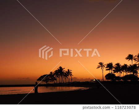 Hawaii Waikiki Magic Hour 118723078