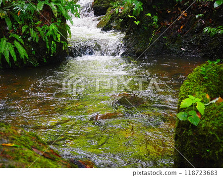 平靜的河流 118723683