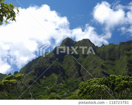 Hawaii, Oahu, Koolau Mountains 118723781