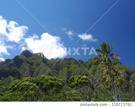 Hawaii, Oahu, Koolau Mountains Hawaii, Oahu, Koolau Mountains 118723782
