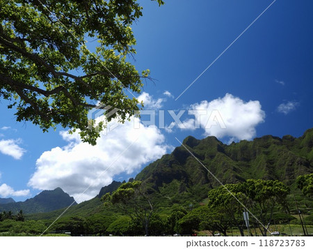 Hawaii, Oahu, Koolau Mountains 118723783