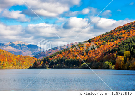 landscape by the lake in autumn. forest on the mountains in colorful foliage. countryside scenery of ukraine on a sunny day in fall season landscape by the lake in autumn. forest on the mountains in colorful foliage. countryside scenery of ukraine on a sunny day in fall season 118723910