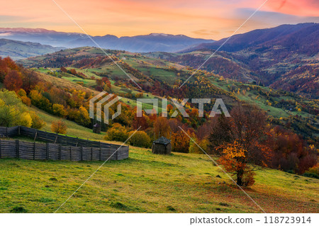 carpathian rural landscape in autumn. mountainous countryside scenery in morning light. fall season in ukraine. orange foliage 118723914