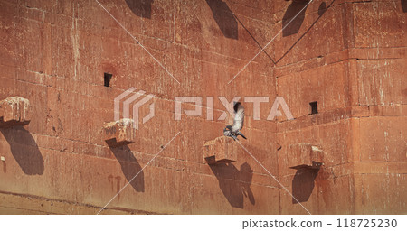 Varanasi, Uttar Pradesh, India. Doves take off from old red wall Chet Singh Fort. Pigeons flying above on Chet Singh Ghat. flight Varanasi, Uttar Pradesh, India. Doves take off from old red wall Chet Singh Fort. Pigeons flying above on Chet Singh Ghat. flight 118725230