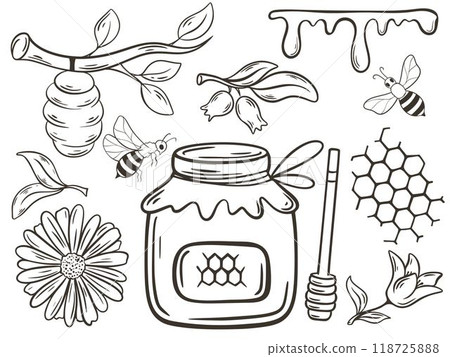 Hand drawn honey set in doodle style includes honey jar, beehive, honeycomb, propolis, flowers and bees 118725888