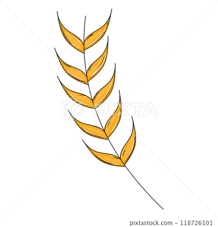 Wheat stalk in a simple cartoon style with gold leaves, Vector Wheat stalk in a simple cartoon style with gold leaves, Vector 118726101