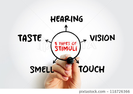 The 5 types of external stimuli - divided into our senses: touch, vision, smell and taste, mind map concept for presentations and reports with marker The 5 types of external stimuli - divided into our senses: touch, vision, smell and taste, mind map concept for presentations and reports with marker 118726366