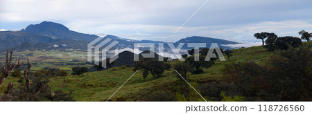 Panoramic view of the Plaine de Cafres in Reunion Island Panoramic view of the Plaine de Cafres in Reunion Island 118726560