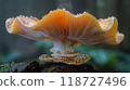 Close-up of orange mushroom with dew drops 118727496