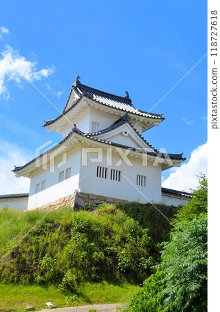 岡崎城東角塔 118727618