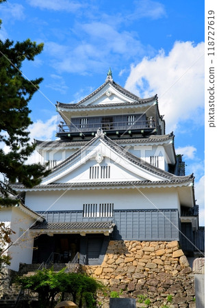岡崎城堡城堡塔 118727619