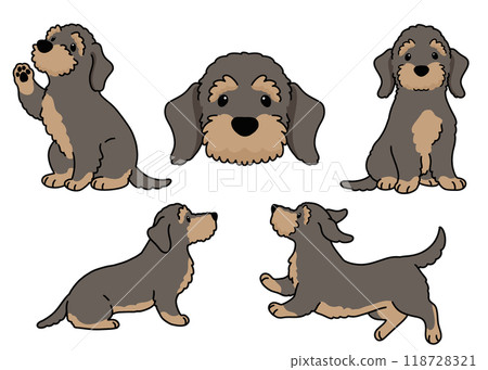 可愛的剛毛臘腸犬插圖集,帶有主線 可愛的剛毛臘腸犬插圖集,帶有主線 118728321