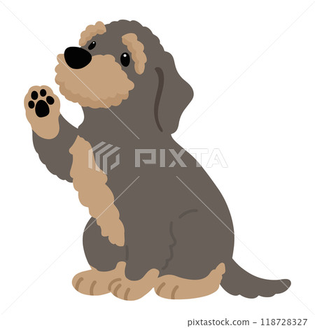 有柄鋼絲毛臘腸犬，無主線 118728327