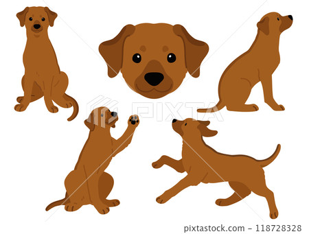 Simple and cute Rhodesian Ridgeback illustration set (no main lines) 118728328