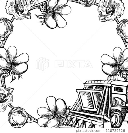 Cotton harvester. A black and white vector graphic illustration made by hand. A stylized composition of a modern cotton harvester used in agriculture and cotton twigs. The design element. Cotton harvester. A black and white vector graphic illustration made by hand. A stylized composition of a modern cotton harvester used in agriculture and cotton twigs. The design element. 118729326