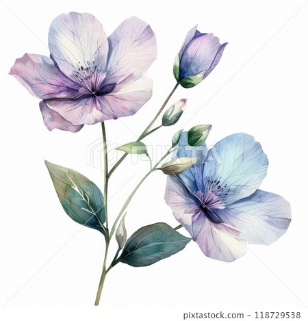 Delicate watercolor painting of purple and blue flowers with green leaves on a white background. 118729538