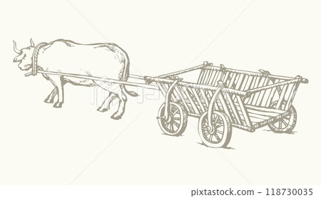 Empty cart drawn by oxen. Vector drawing 118730035