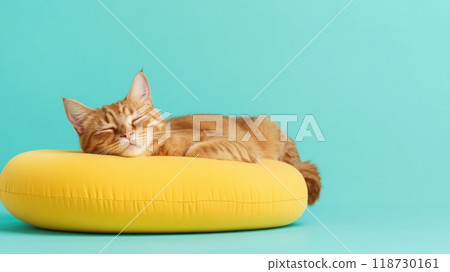 American Bobtail isolated on colorful pastel background. 118730161